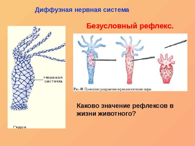 Кракен купить наркоту