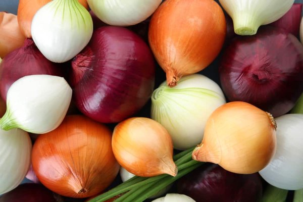 Кракен зеркало onion